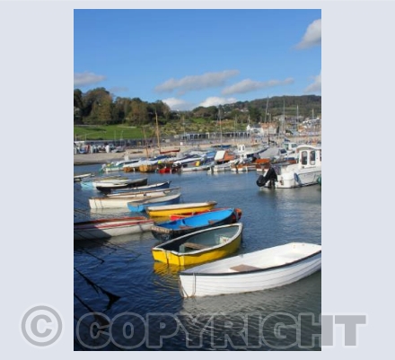 A sunny day by the sea