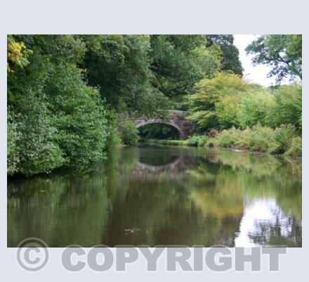 Canal Magic