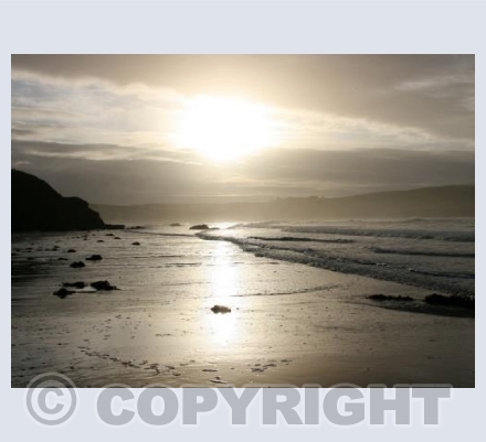 Sea Beauty