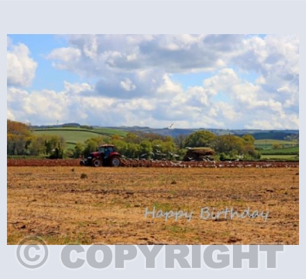 Ploughing the Field 
