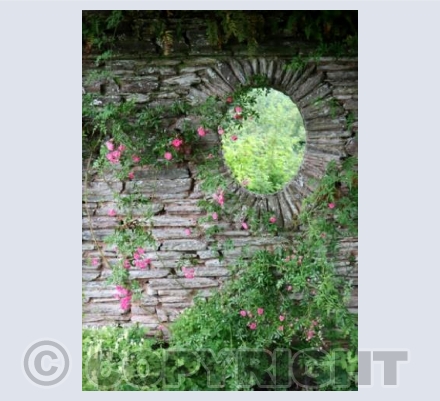 Through the Window