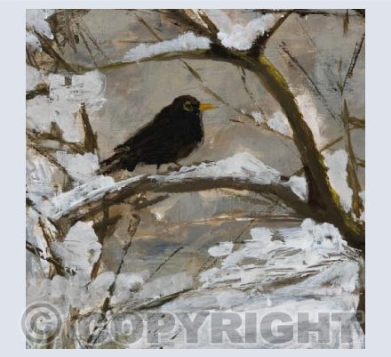 Blackbird