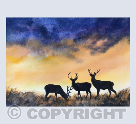 Exmoor Silhouette