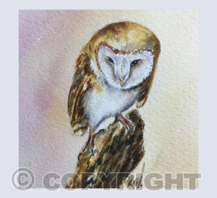 Barn Owl in Twilight