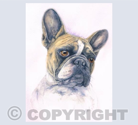 Lola Greeting Card 