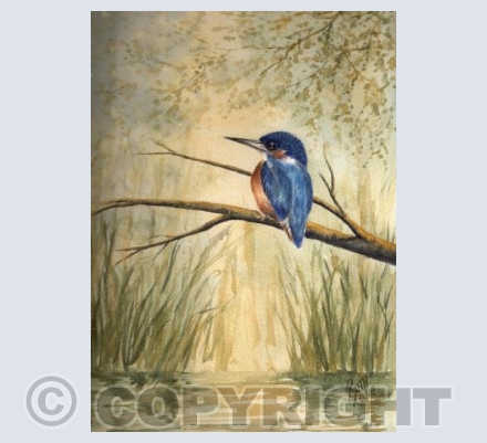 Kingfisher