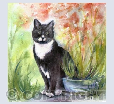 Tuesday