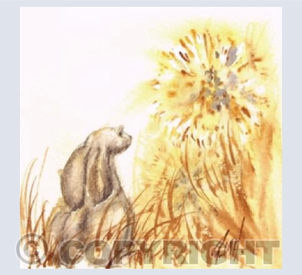 Dandelion Sky 