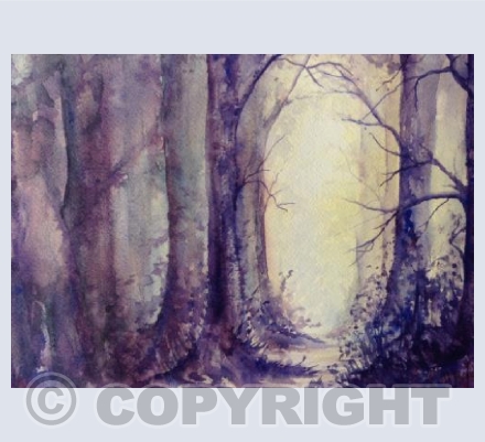 Sunlit Path