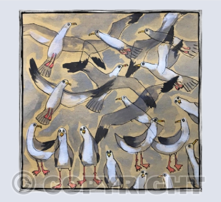 Gulls