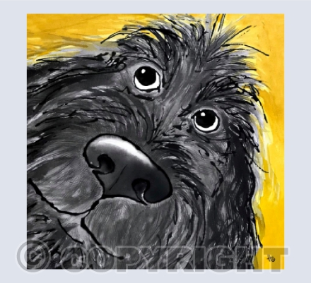 Doodle Dog