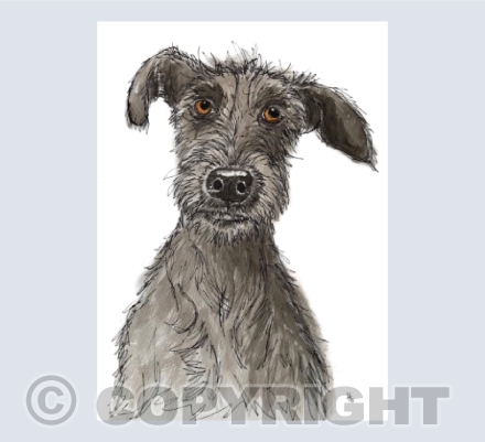 Gotta love a scruffy dog 2