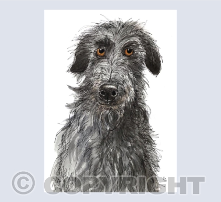 Deerhounds, gotta love them
