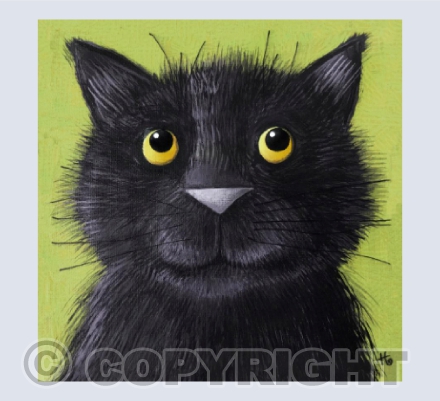 Furball behind the door