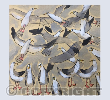 Gulls, gulls, gulls, gulls, gulls, gulls, gulls