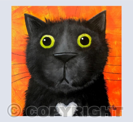 Can you have too much cat nip?