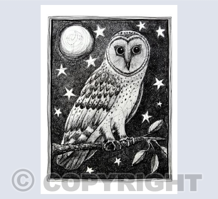 Tyto alba