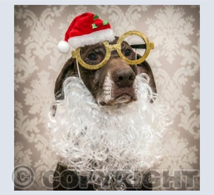 Ho ho ho