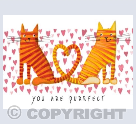 You are Purrfect