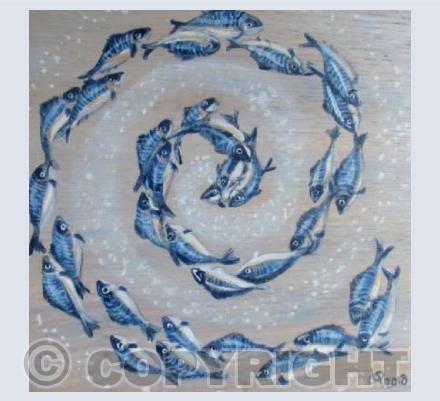 Mackerel Swirl card