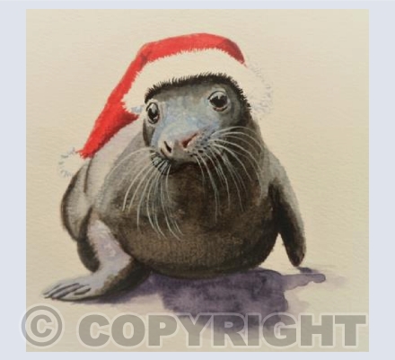 Christmas Seal Pup