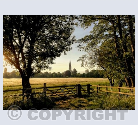 Salisbury Cathedral, Wiltshire #1