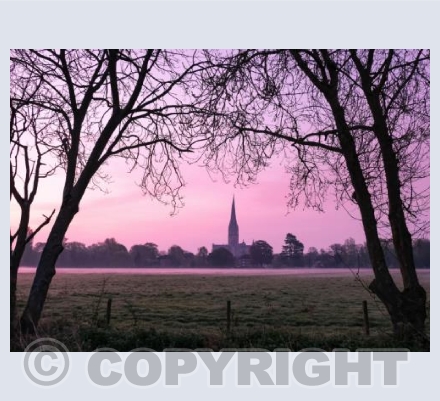 Salisbury Cathedral, Wiltshire #4
