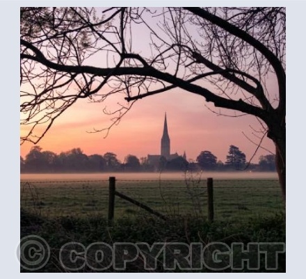 Salisbury Cathedral, Wiltshire #3b