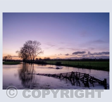 Sunrise, Wimborne Stour Flood Plain 