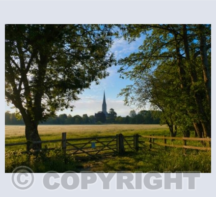 Salisbury Cathedral, Wiltshire #7