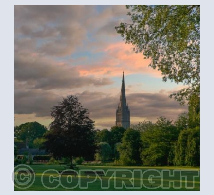 Salisbury Cathedral, Wiltshire #8