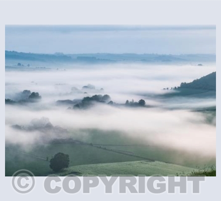 Cranborne Chase Misty Sunrise #5