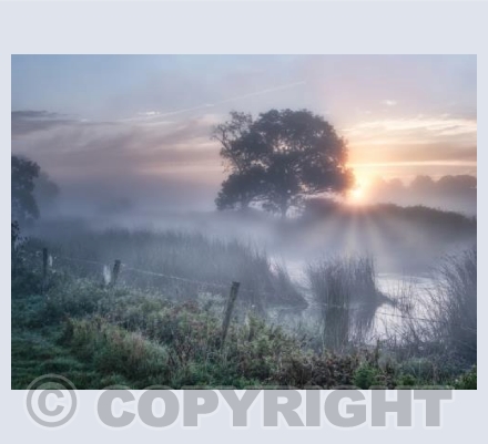 Stour Misty Sunrise #1