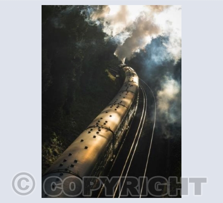 Early Morning Steam, Parkstone