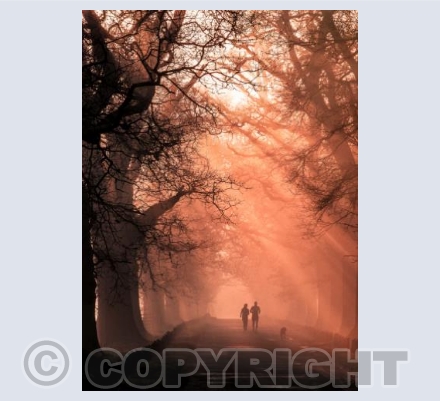Joggers with a Dog, Pamphill, Dorset