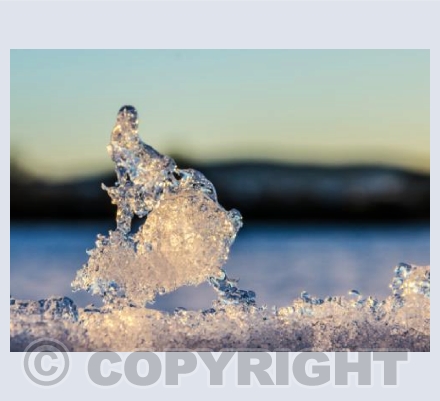 Snow Flake