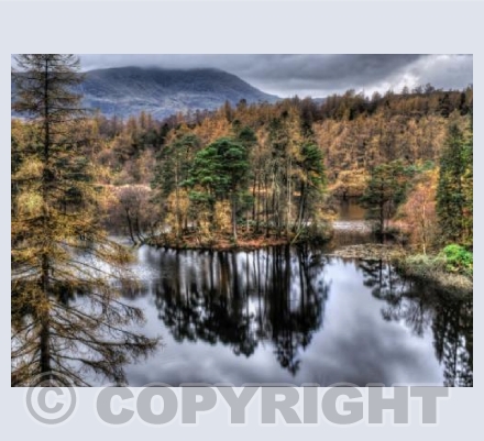 Reflections