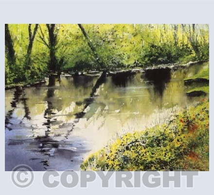 River Bank