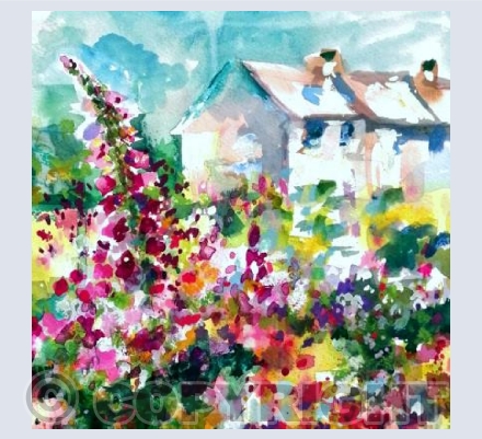 Flowers Of My Garden