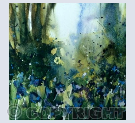 Bluebells in sunshine