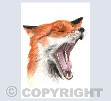 The Yawn