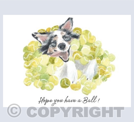 Hope you have a ball!
