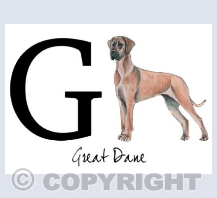 G for Great Dane