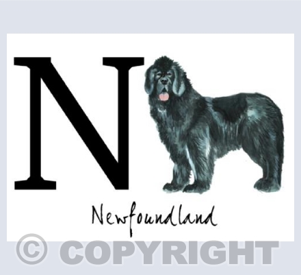 N for Newfoundland