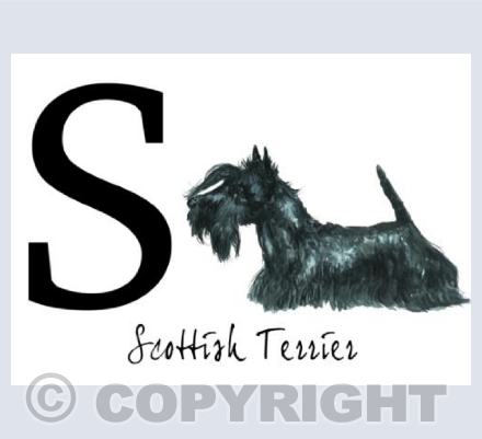 S for Scottish Terrier