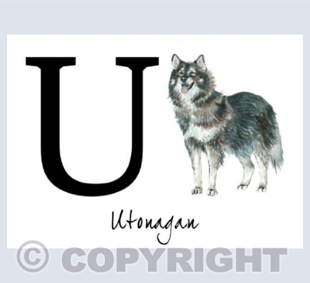 U for Utonagan