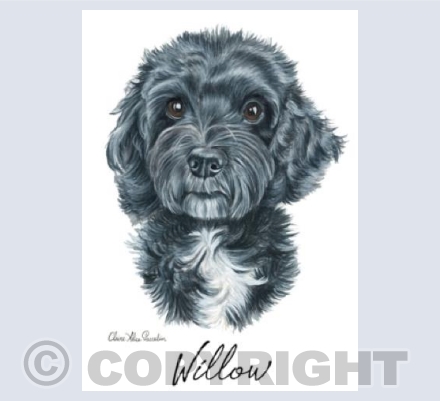 Willow