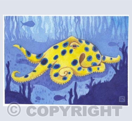 Blue Ringed Octopus 