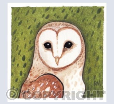 Barn owl