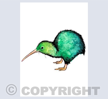 Cute Watercolour Kiwi